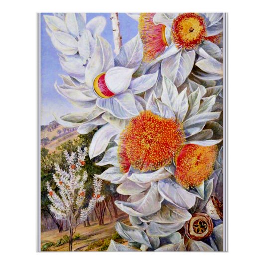 Nord - Foliage, Blume und Samenschiffe, Poster (Vorderseite)