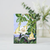 Nord - Folien und Blume eines tropischen Amerikane Postkarte (Stehend Vorderseite)