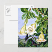 Nord - Folien und Blume eines tropischen Amerikane Postkarte (Vorne/Hinten)