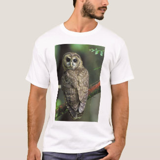 Nord-Gepunktet-Schüssel - Strix occidentalis cauri T-Shirt