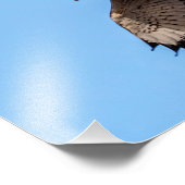 Nord-Harrier-Flug Fotodruck (Ecke)