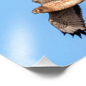 Nord-Harrier-Flug Fotodruck (Ecke)