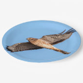 Nord-Harrier-Flug Pappteller (Schrägansicht)