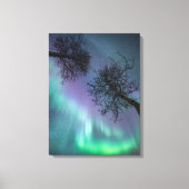 Nord Lights Trees Norwegen Leinwanddruck (Vorderseite)