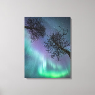 Nord Lights Trees Norwegen Leinwanddruck