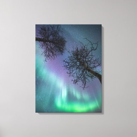 Nord Lights Trees Norwegen Leinwanddruck (Vorderseite)