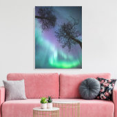 Nord Lights Trees Norwegen Leinwanddruck (Insitu (Wohnzimmer))