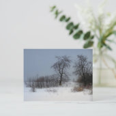 Nord-Maine 17 Postkarte (Stehend Vorderseite)