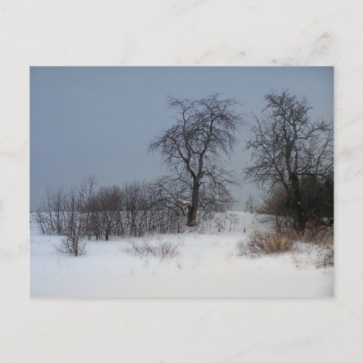 Nord-Maine 17 Postkarte (Vorderseite)