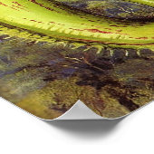 Nord - Nepenthes Iana 1876 Poster (Ecke)