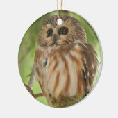Nord Säge-whet Eule Keramikornament (Links)