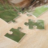 Nord Säge-whet Eule Puzzle (Seite)