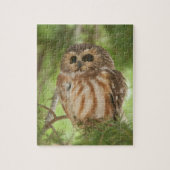 Nord Säge-whet Eule Puzzle (Vertikal)