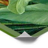 Nord - Schönheiten der Sümpfe, botanische Kunst Poster (Ecke)