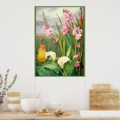 Nord - Schönheiten der Sümpfe, botanische Kunst Poster (Küche)