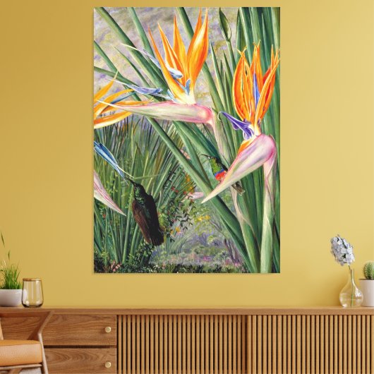 Nord - Strelitzia und Zucker, Südafrika, Leinwanddruck (Insitu (Wohnzimmer))