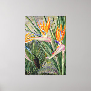 Nord - Strelitzia und Zucker, Südafrika, Leinwanddruck