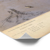 Nord-Süd-Carolina 2 Poster (Ecke)