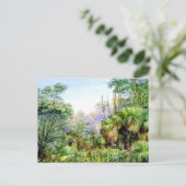 Nord - Waldlandschaft in Westaustralien Postkarte (Stehend Vorderseite)