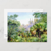 Nord - Waldlandschaft in Westaustralien Postkarte (Vorne/Hinten)