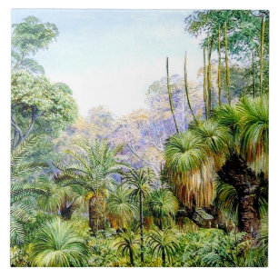 Nord - Waldszene in Westaustralien, Vintage Fliese