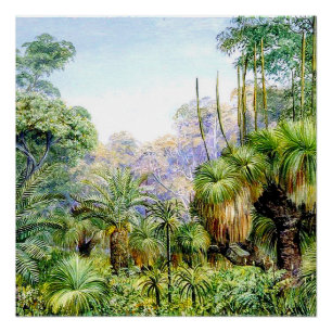Nord - Waldszene in Westaustralien, vintage Poster