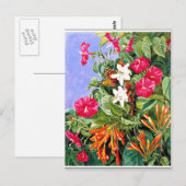 Nord - Wildblumen in Morro Velho, Brasilien Postkarte (Vorne/Hinten)