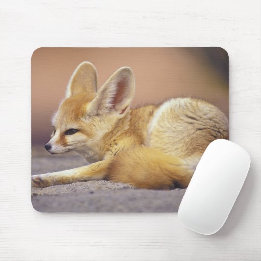 Nordafrika. Fennec Fennecus zerda) Mousepad (Mit Mouse)