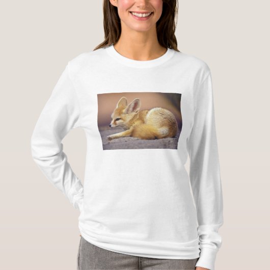 Nordafrika. Fennec Fennecus zerda) T-Shirt (Vorderseite)