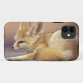 Nordafrika. Fennek (Fennecus zerda) Case-Mate iPhone Hülle (Rückseite (Horizontal))
