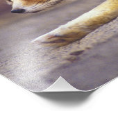 Nordafrika. Fennek (Fennecus zerda) Fotodruck (Ecke)