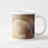 Nordafrika. Fennek (Fennecus zerda) Jumbo-Tasse (Rechts)
