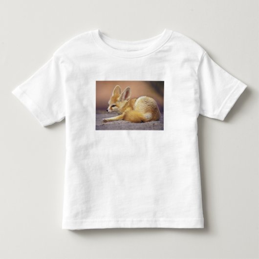 Nordafrika. Fennek Fennecus zerda) Kleinkind T-shirt (Vorderseite)