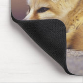 Nordafrika. Fennek (Fennecus zerda) Mousepad (Ecke)