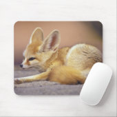Nordafrika. Fennek (Fennecus zerda) Mousepad (Mit Mouse)