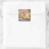 Nordafrika. Fennek (Fennecus zerda) Quadratischer Aufkleber (Tasche)