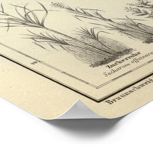 Nordamerika 13 poster (Ecke)