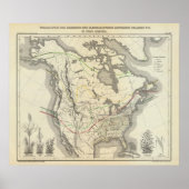 Nordamerika 13 poster (Vorne)