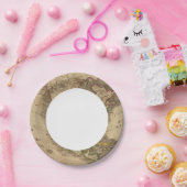 Nordamerika 14 pappteller (Party)