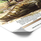 " Nordamerika: 1993 Im Zeitalter der Dinosaurier Poster (Ecke)