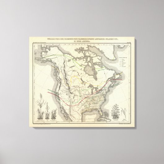 Nordamerika 32 leinwanddruck (Vorderseite)