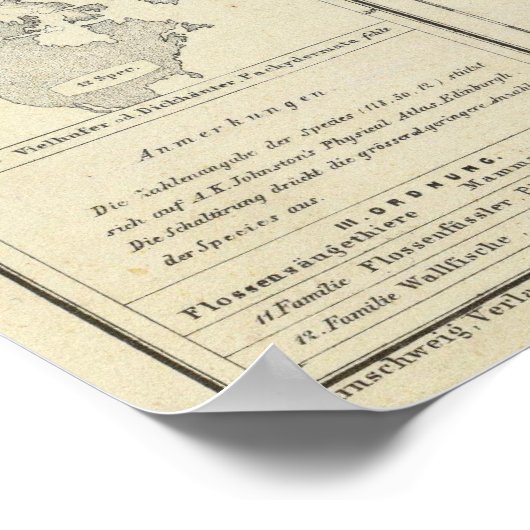 Nordamerika 33 poster (Ecke)