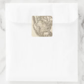 Nordamerika 47 quadratischer aufkleber (Tasche)