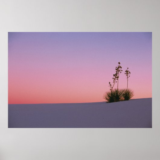 Nordamerika, Amerika, New Mexiko, Weiß Poster (Vorne)