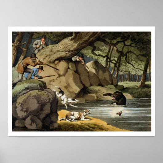 Nordamerika Bärenjagd, eingraviert von Matthew Dub Poster (Vorne)