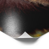 Nordamerika, Kalifornien, Zimtbär Fotodruck (Ecke)