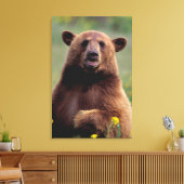 Nordamerika, Kalifornien, Zimtbär Leinwanddruck (Insitu (Wohnzimmer))