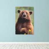 Nordamerika, Kalifornien, Zimtbär Leinwanddruck (Insitu (Holzboden))