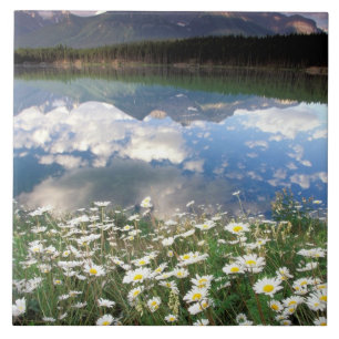 Nordamerika, Kanada, Alberta, Banff National 2 Fliese