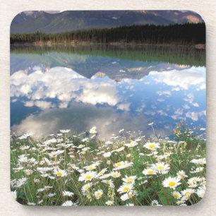 Nordamerika, Kanada, Alberta, Banff National 2 Getränkeuntersetzer